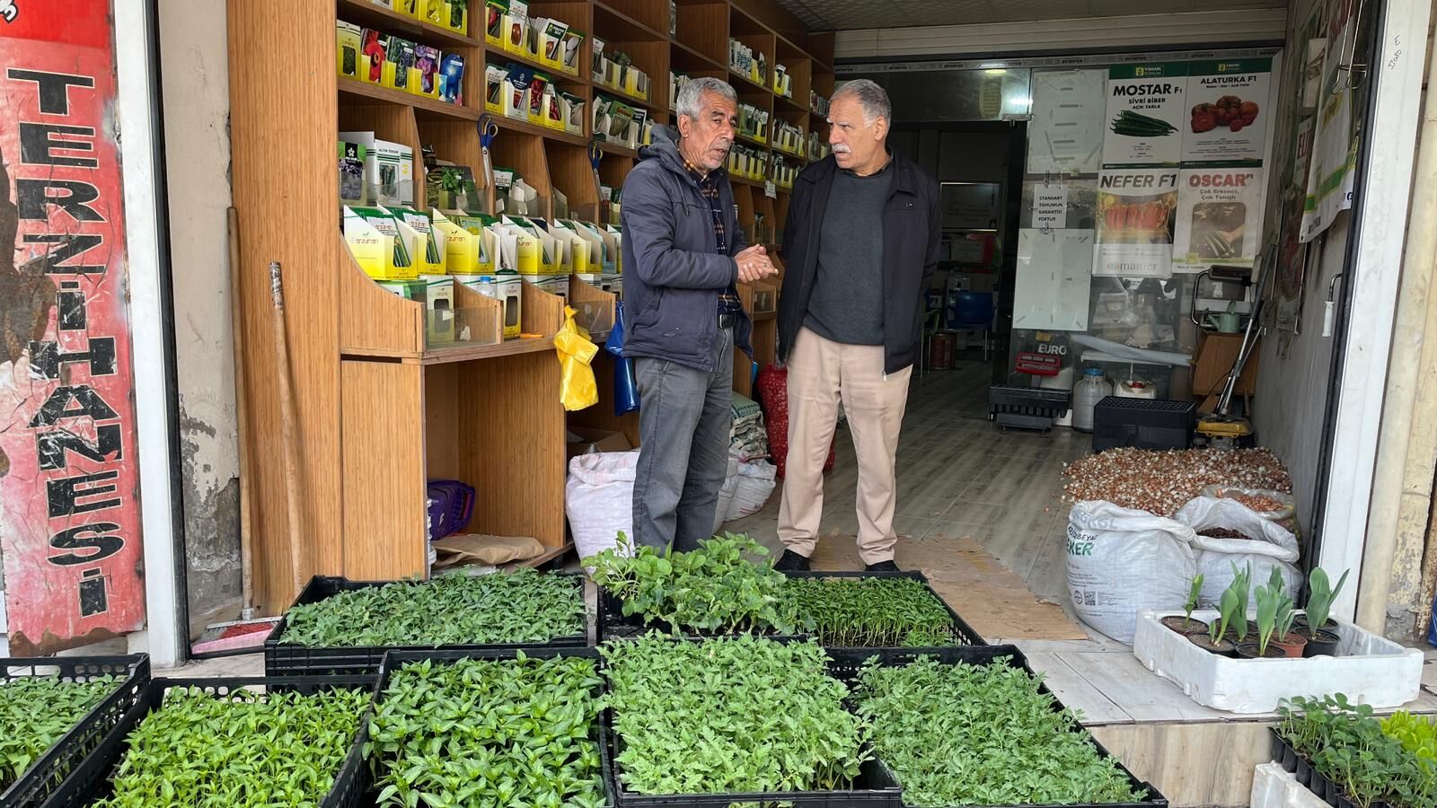 Batman’da Bahçe Sezonu Başladı Fideye Talep Arttı (4)-1