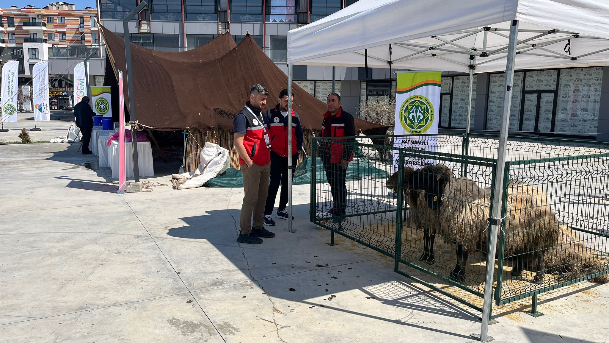 Batman’da Bir İlk Göçebe Hayvancılık Çalıştayı Başladı (8)