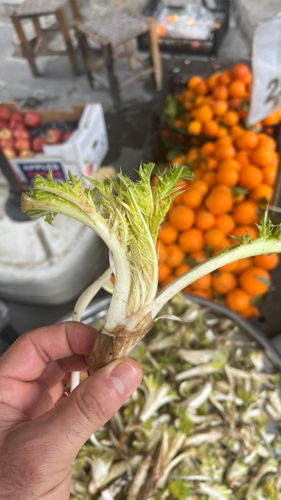 Batman’da Kenger Otu Tezgahlarda Yerini Aldı Kilosu 200 Lira (3)