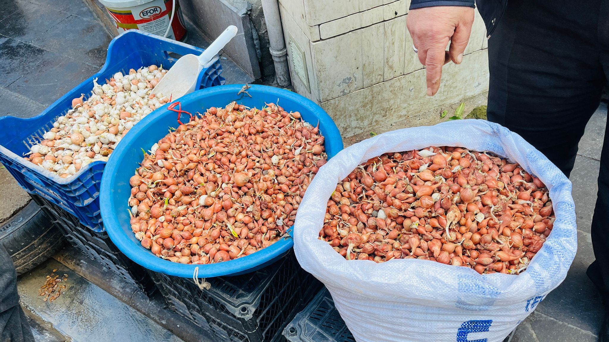 Batman’da Yağışlar Ekimi Vurdu Tohumluk Soğanlar Esnafın Elinde Kaldı (3)