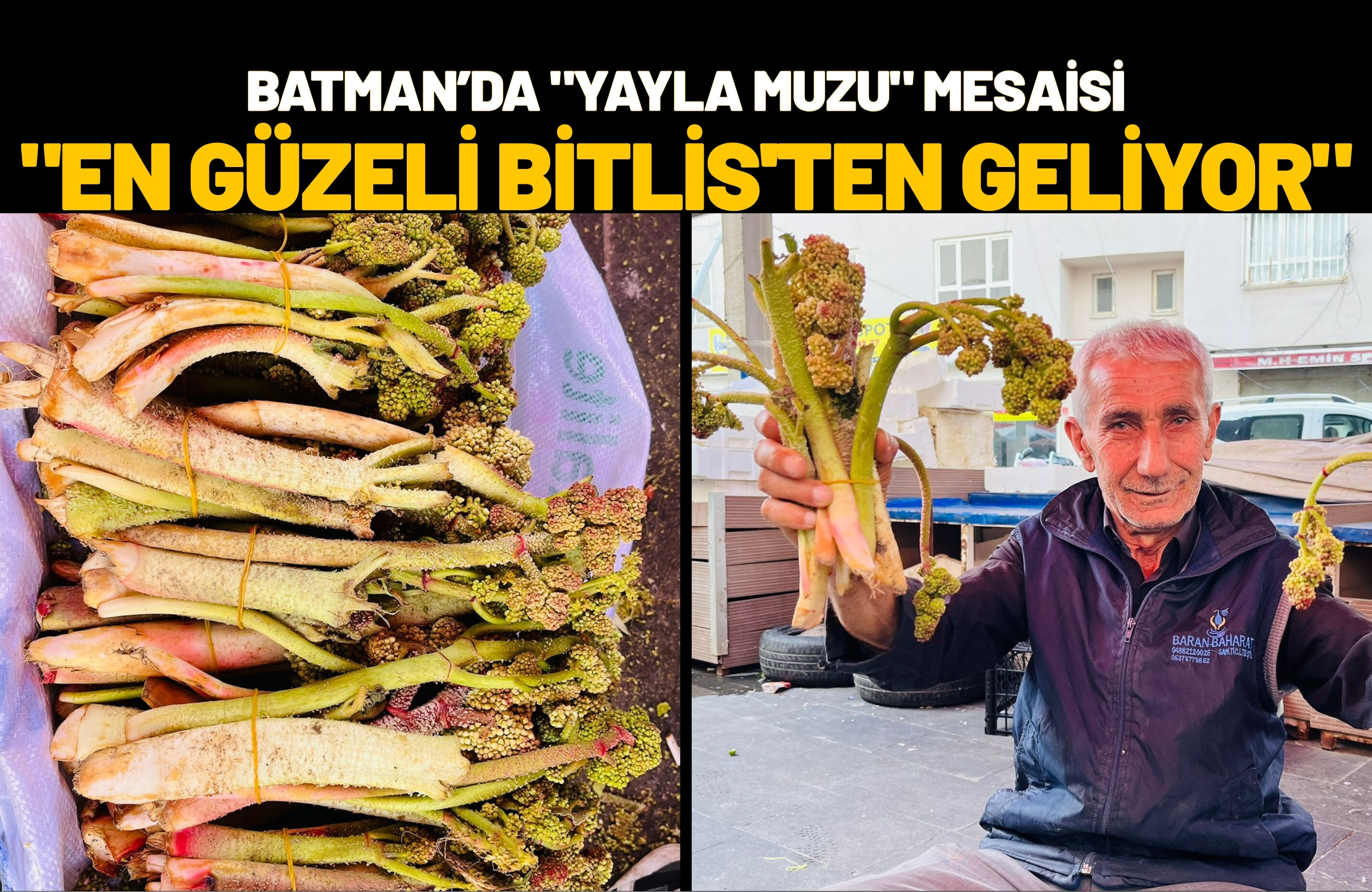 Batman’da Yayla Muzu Mesaisi En Güzeli Bitlis'ten Geliyor (1)
