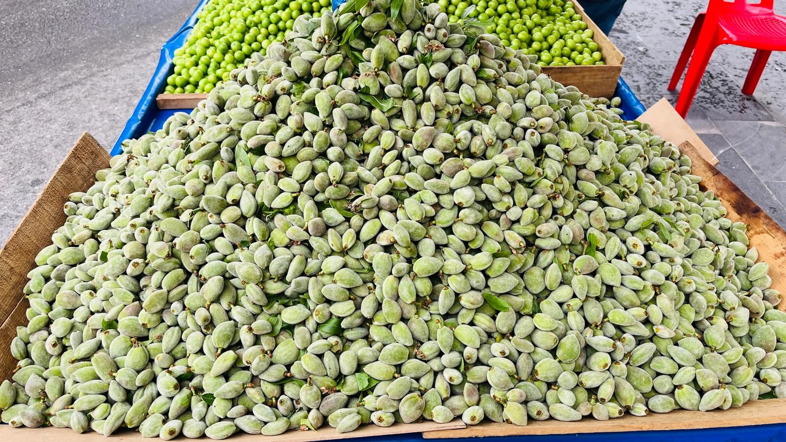 Batman'da Yerli Badem Bereketi Kilosu 120 Liradan Tezgâha İndi (1)