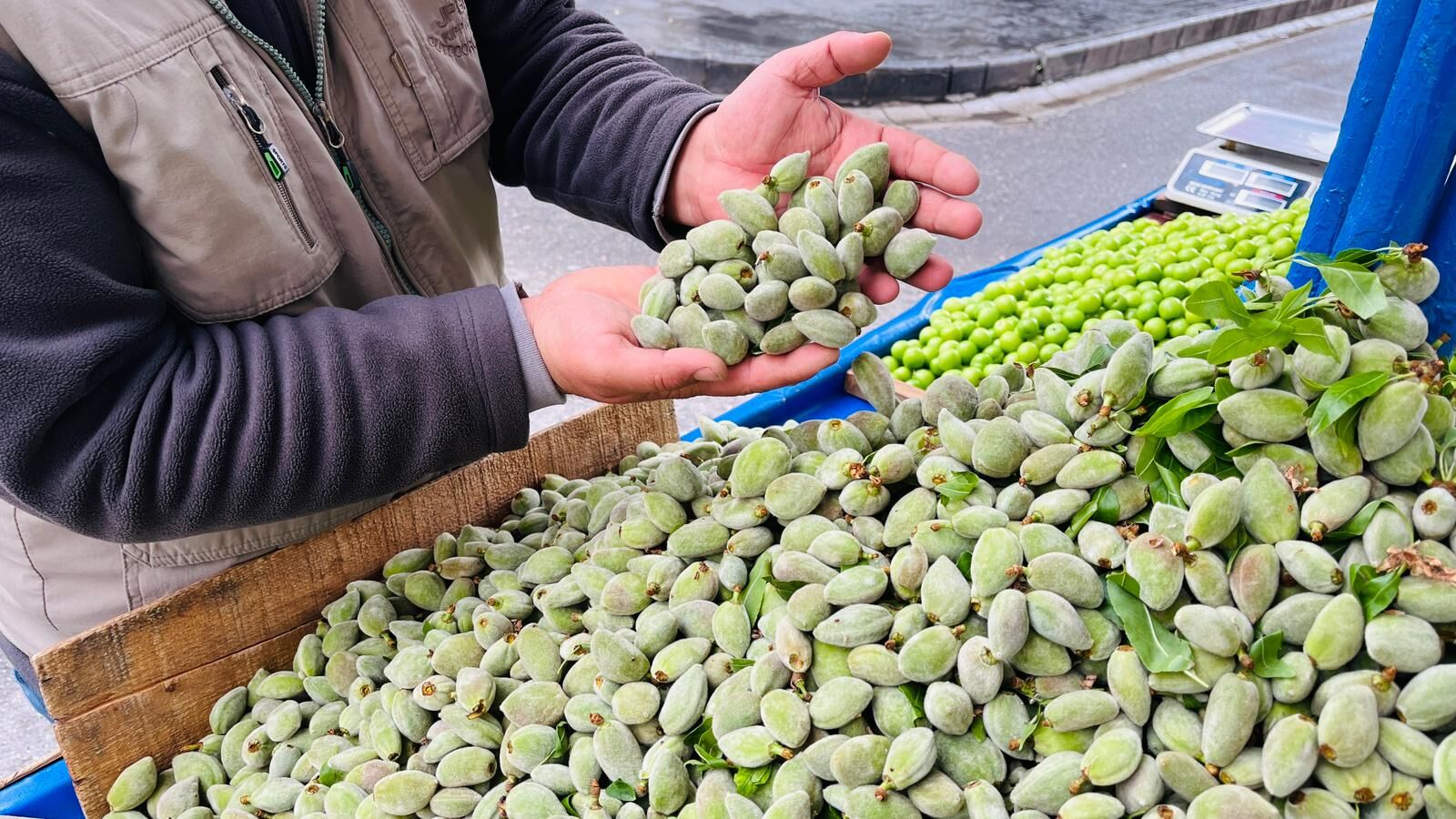 Batman'da Yerli Badem Bereketi Kilosu 120 Liradan Tezgâha İndi (4)