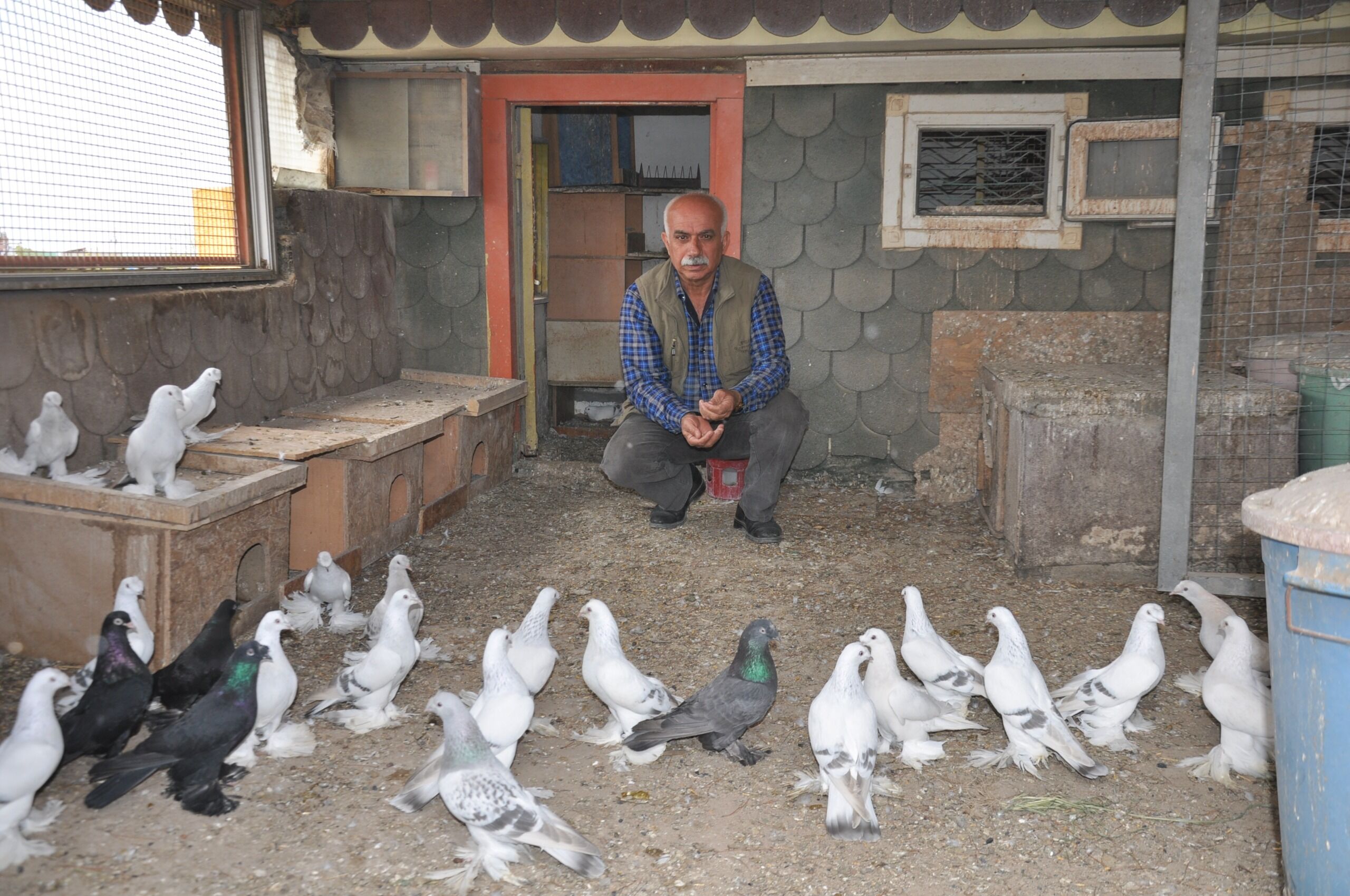 Batmanlı Naim Usta Terasında Doğayla İç İçe Yaşam Kurdu (5)