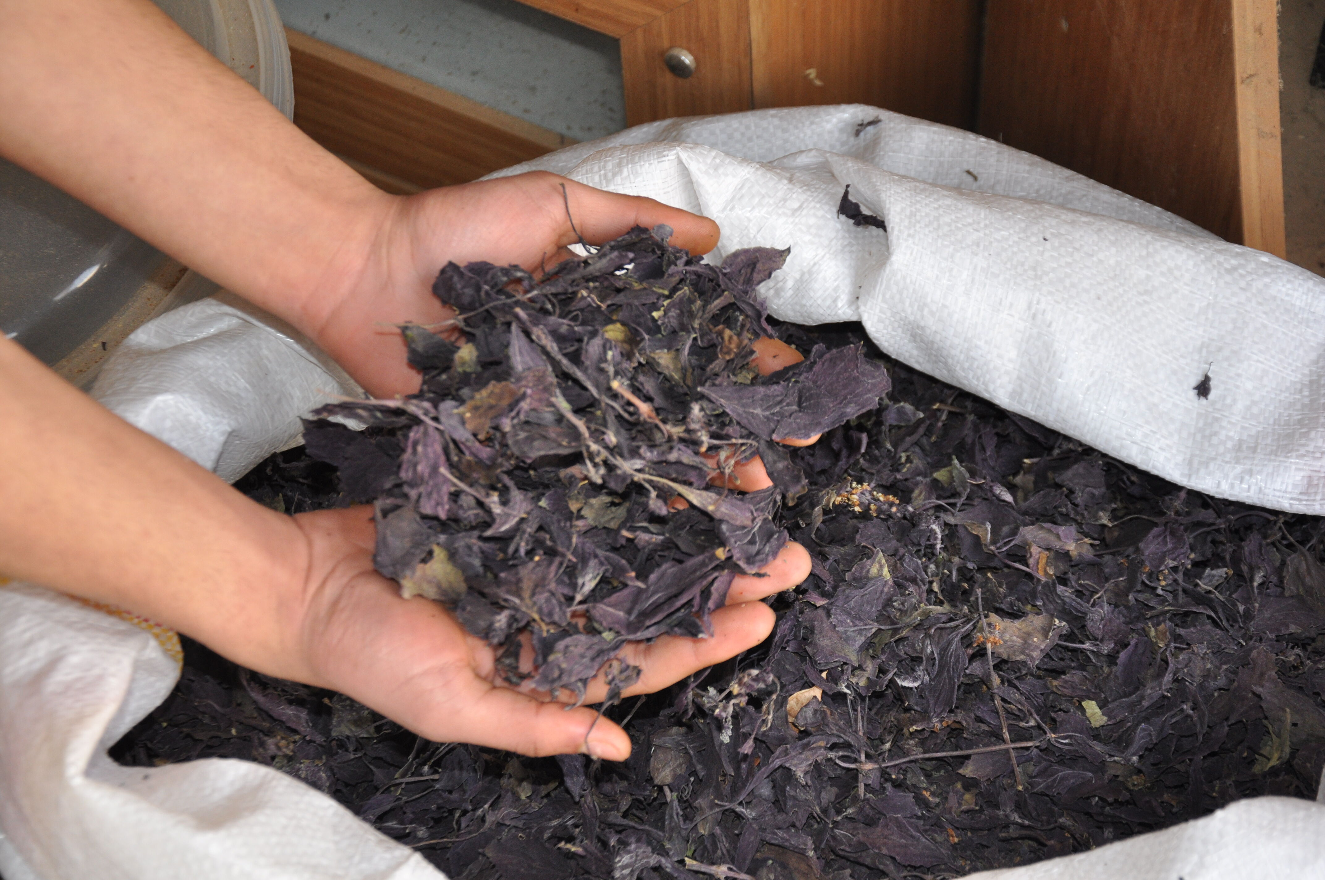 Reyhan Şerbeti Kültürü Giderek Yaygınlaşıyor