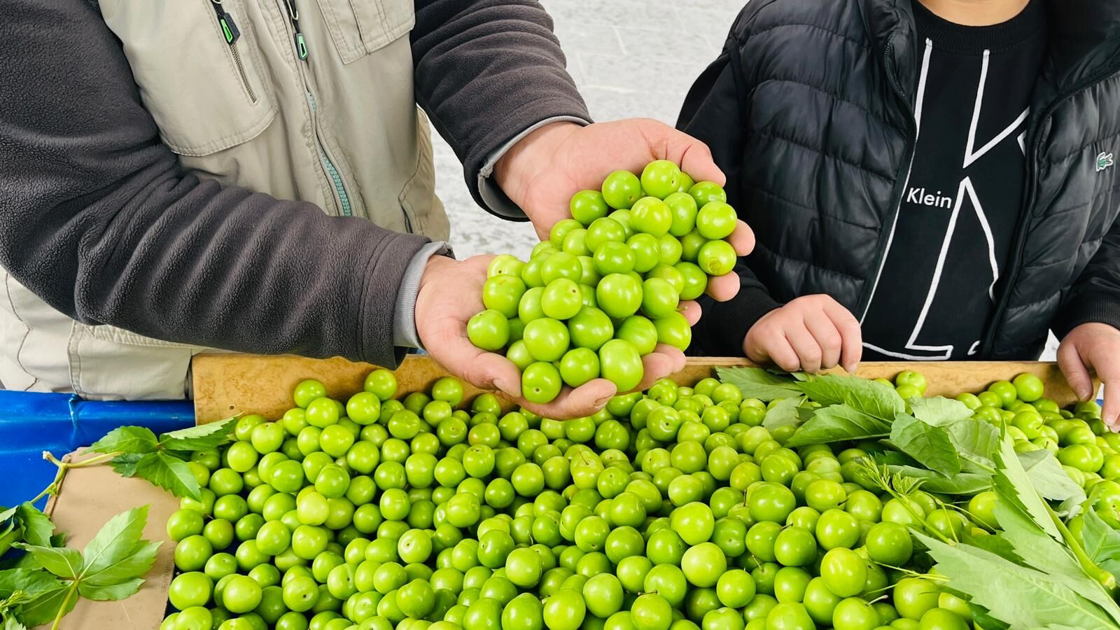 Fiyatlar Altınla Yarışıyordu, Şimdi Herkes Alabiliyor (1)