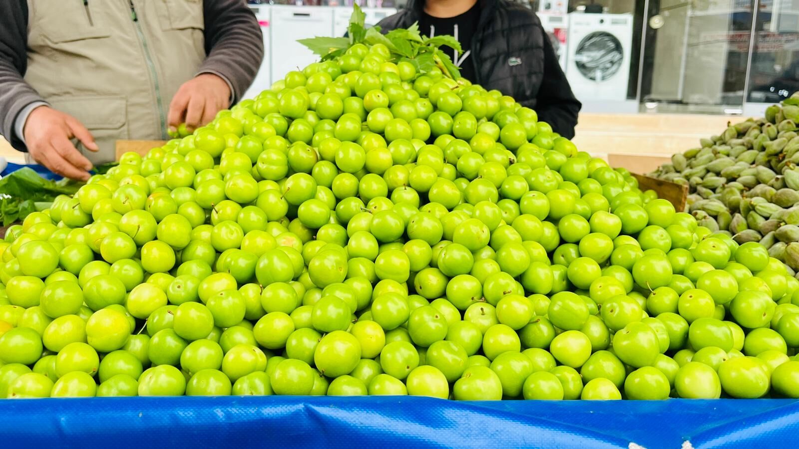 Fiyatlar Altınla Yarışıyordu, Şimdi Herkes Alabiliyor (3)