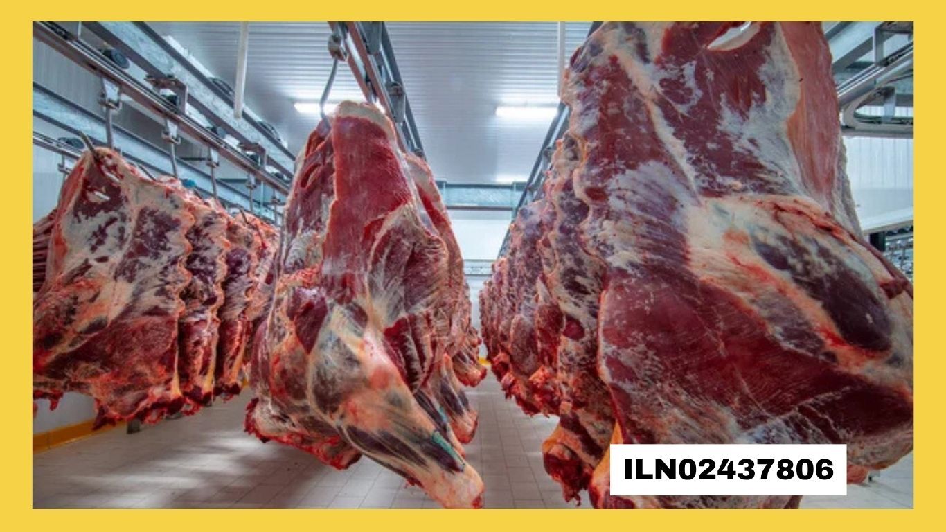 GIDA ÜRÜNLERİ SATIN ALINACAKTIR