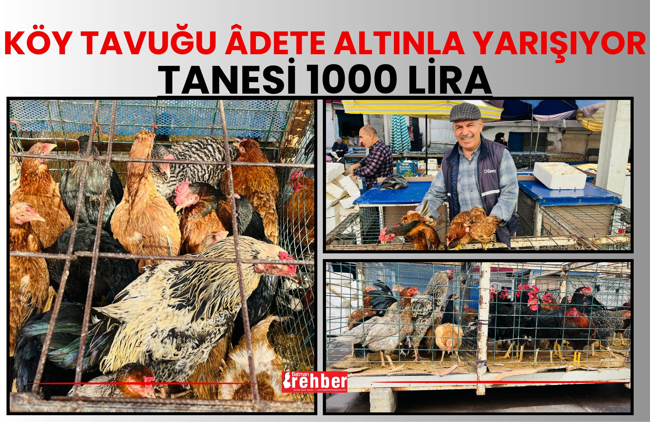 Köy Tavuğu Âdete Altınla Yarışıyor Tanesi 1000 Lira (1)