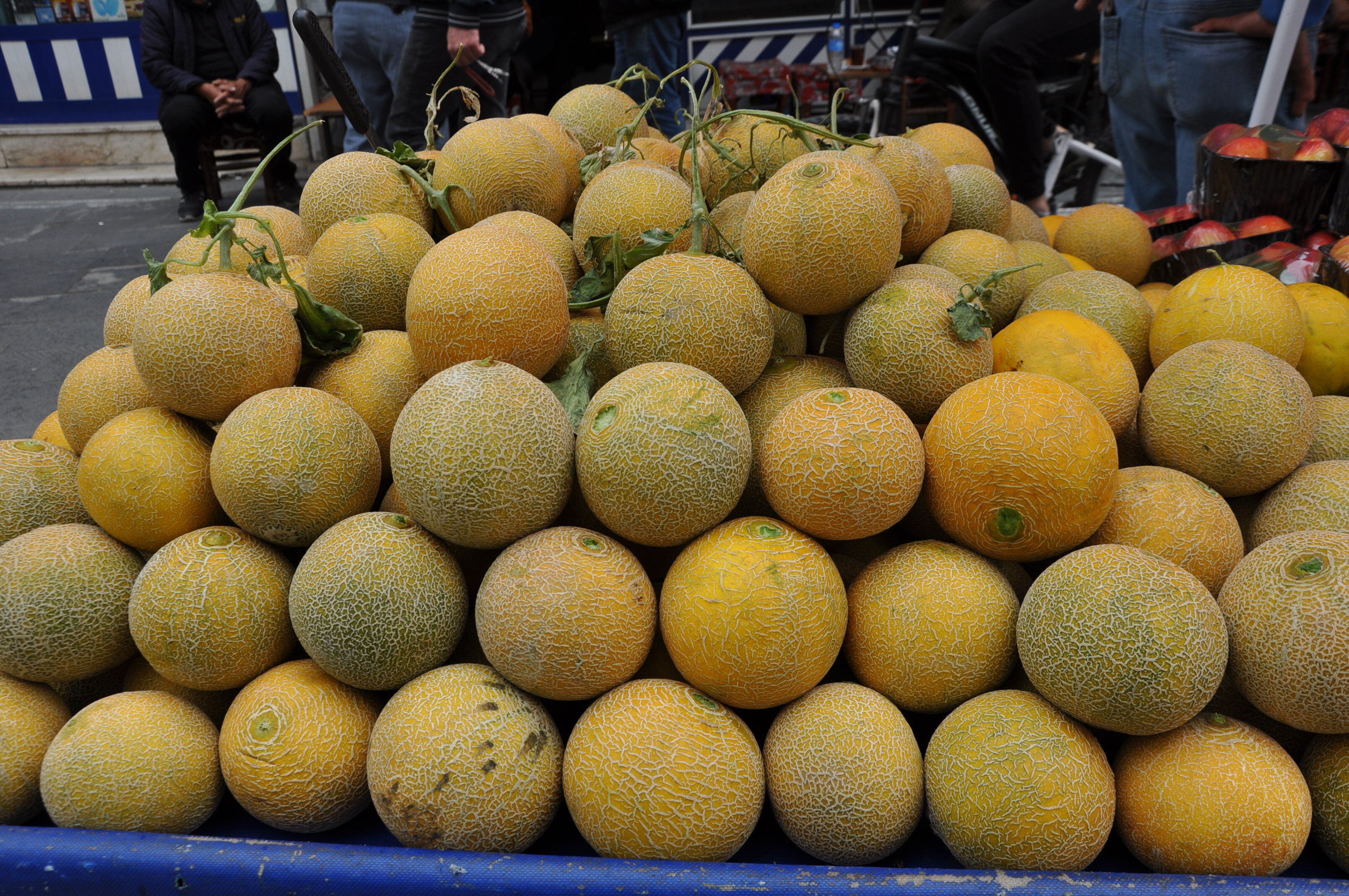 Mevsiminden Önce Tezgâha İnen Kavunlar İlgi Odağı (2)
