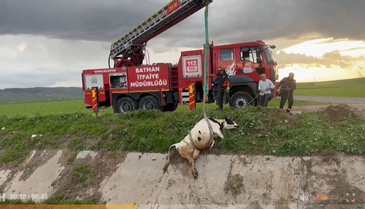 Sarı Kız Ve Arkadaşı Köprü Altında Yorgun Halde Bulundular113
