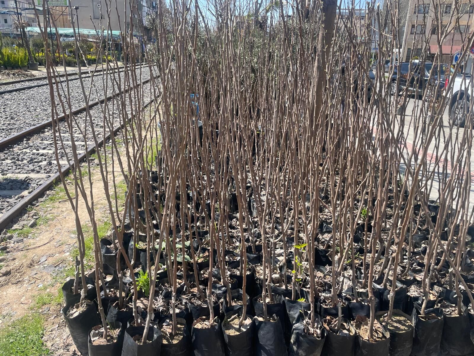 Whatsapp Image 2026 04 01 At 13.36.15