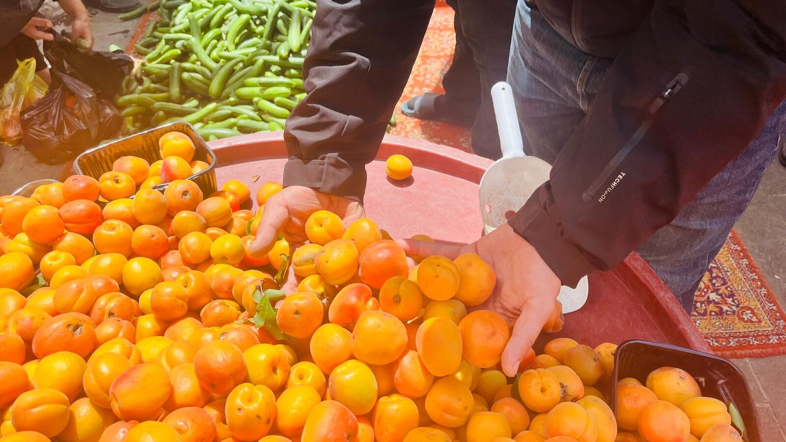Alo Tevşo Pazarı’nda Kayısı Tezgâhları Kuruldu Fiyatlar 75 Tl’den Başlıyor (2)