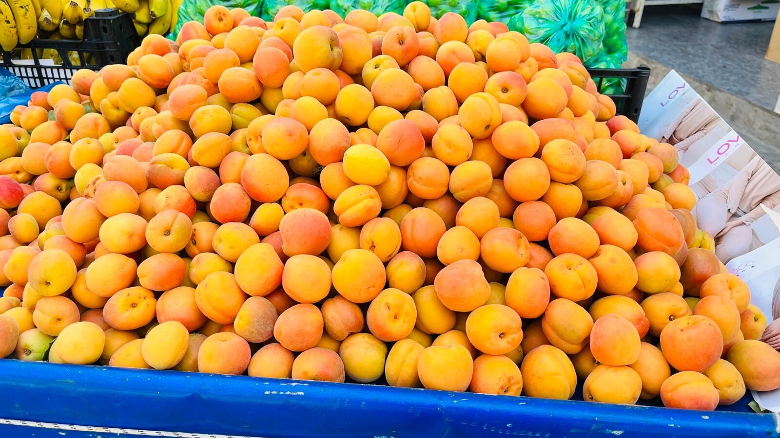 Alo Tevşo Pazarı’nda Kayısı Tezgâhları Kuruldu Fiyatlar 75 Tl’den Başlıyor (3)