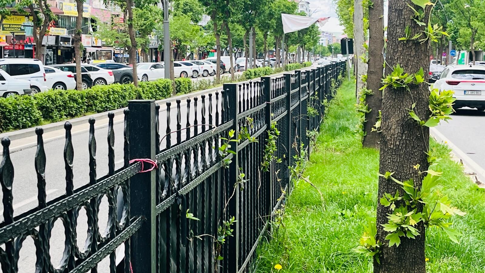 Batman’da Bulvarlar Yeşilleniyor Refüjlere Sarmaşık Ve Ağaç Dokunuşu (2)