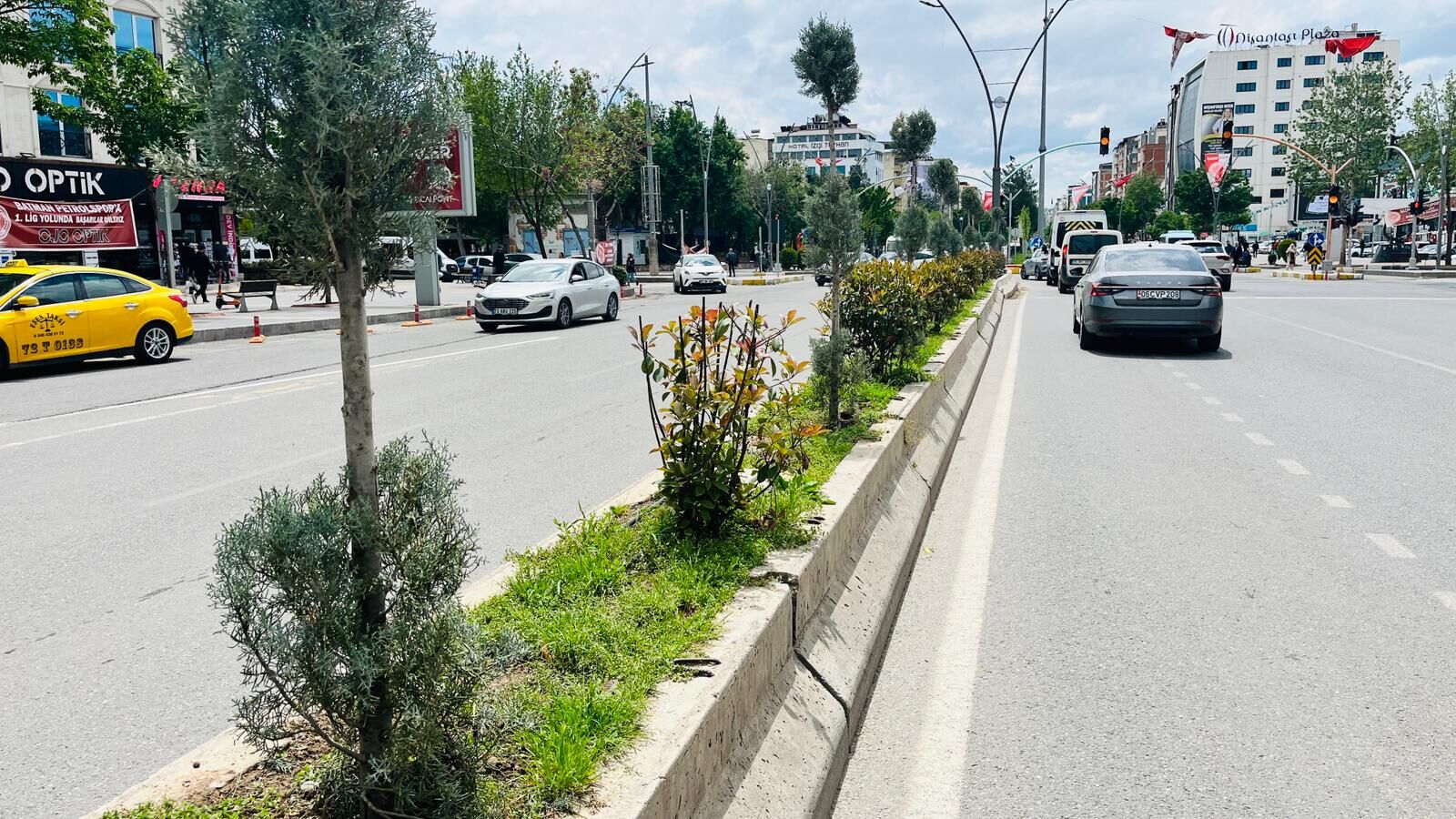 Batman’da Bulvarlar Yeşilleniyor Refüjlere Sarmaşık Ve Ağaç Dokunuşu (5)