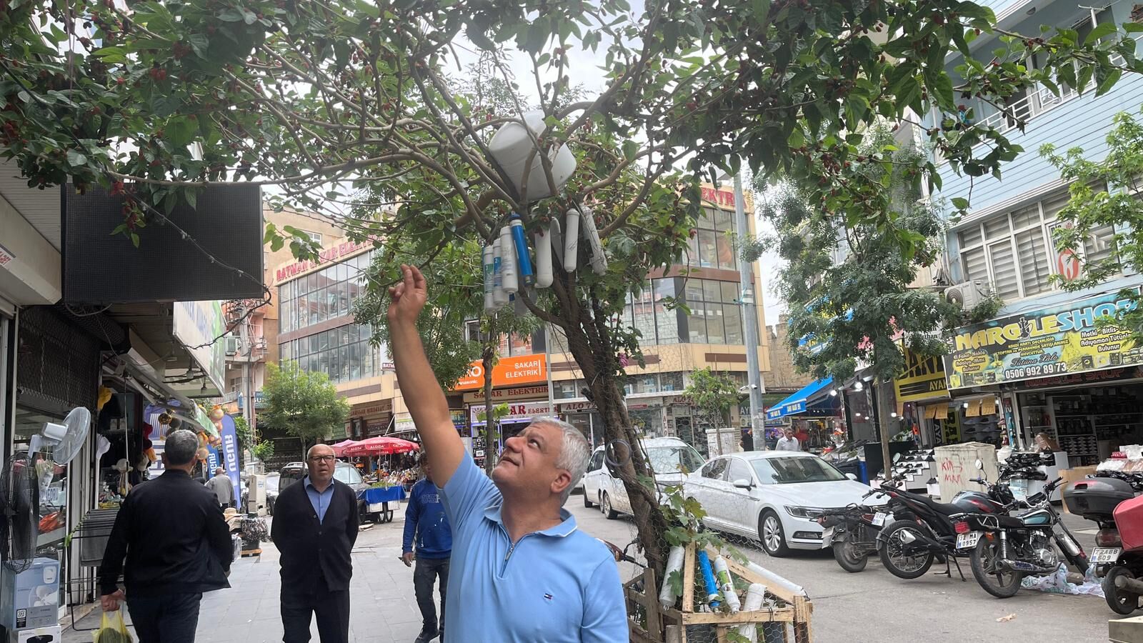 Batman’da Esnaftan Yoldan Geçene Organik Dut İkramı (4)