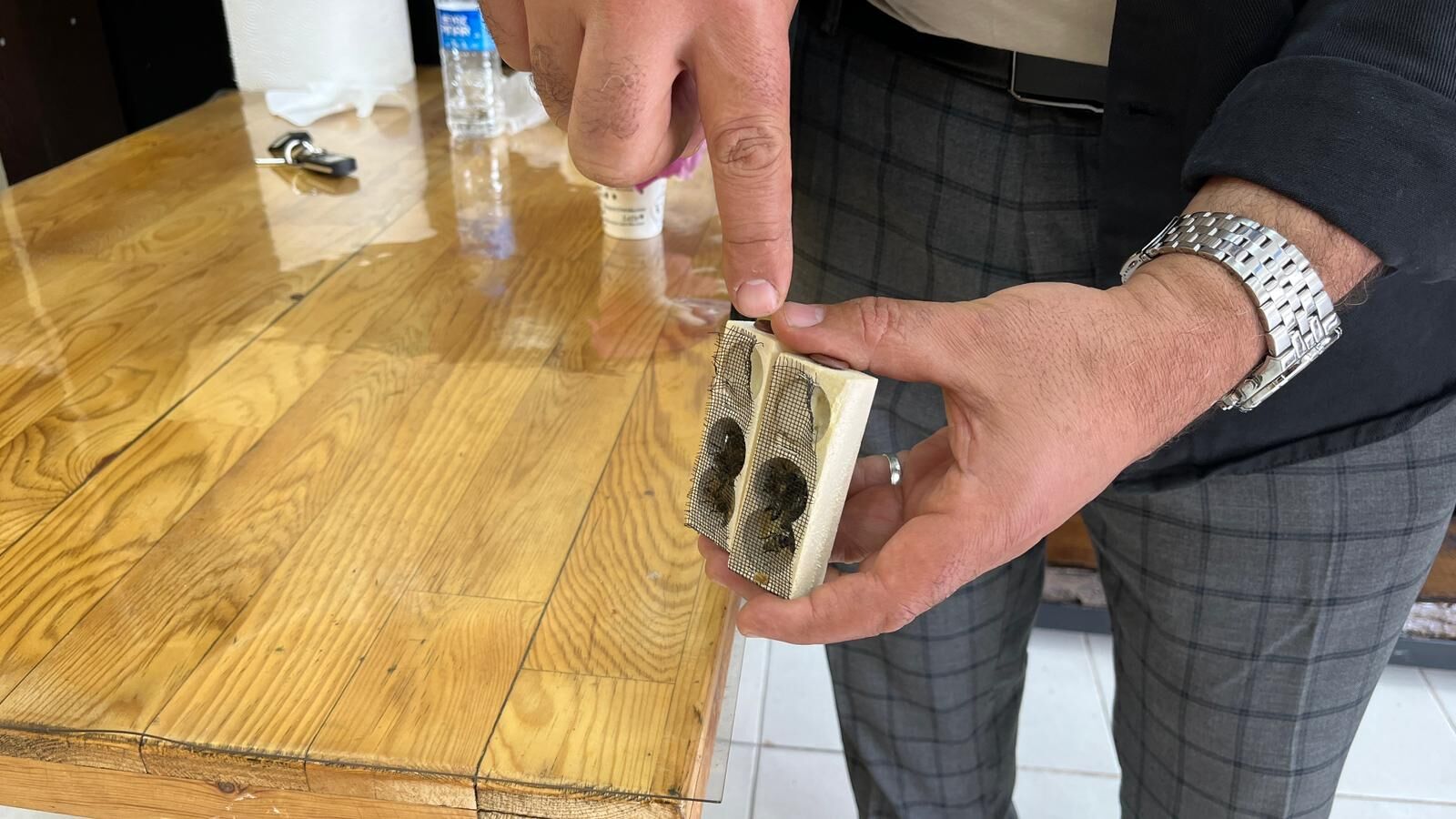 Fare, Kraliçe Arıyı Yedi! (2)