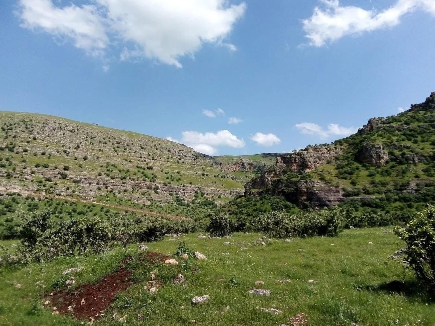 Idil Hedil (1)