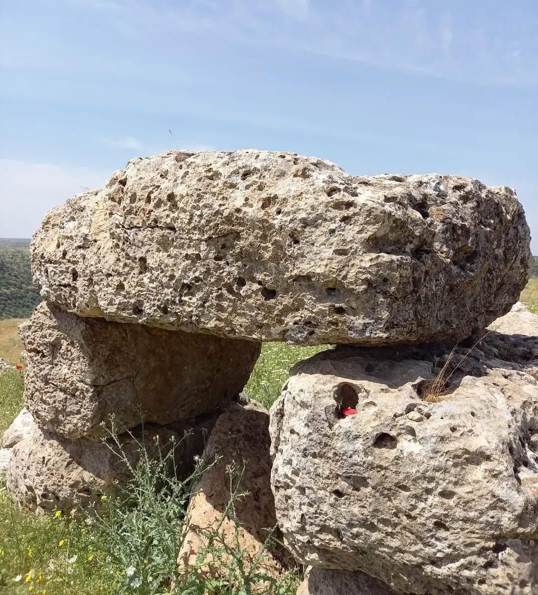 Idil Hedil (4)