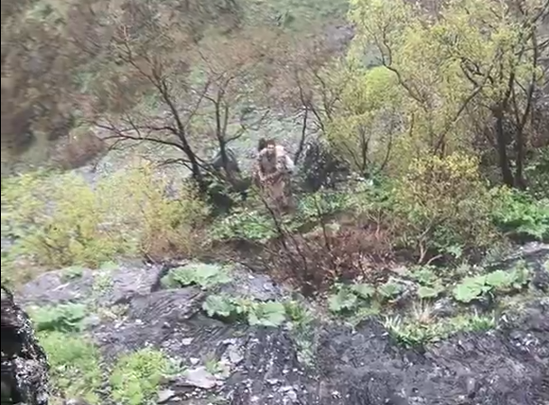 Sason Dağlarında “Yayla Muzu” Bereketi O Anlar Kamerada (1)