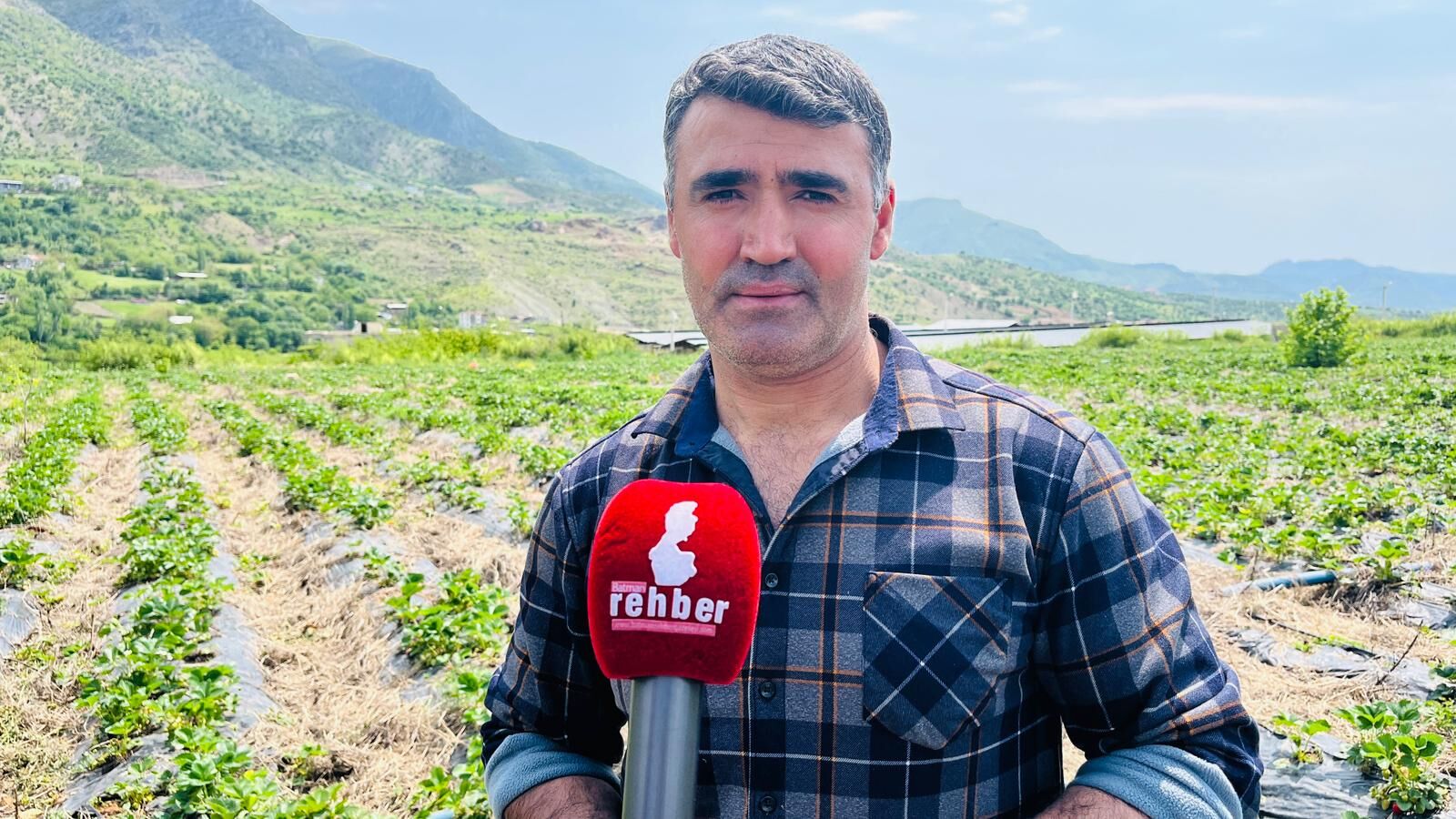 Sason’da Tarımsal Dönüşüm Çilek Üretimiyle İşçilikten İşverenliğe (1)