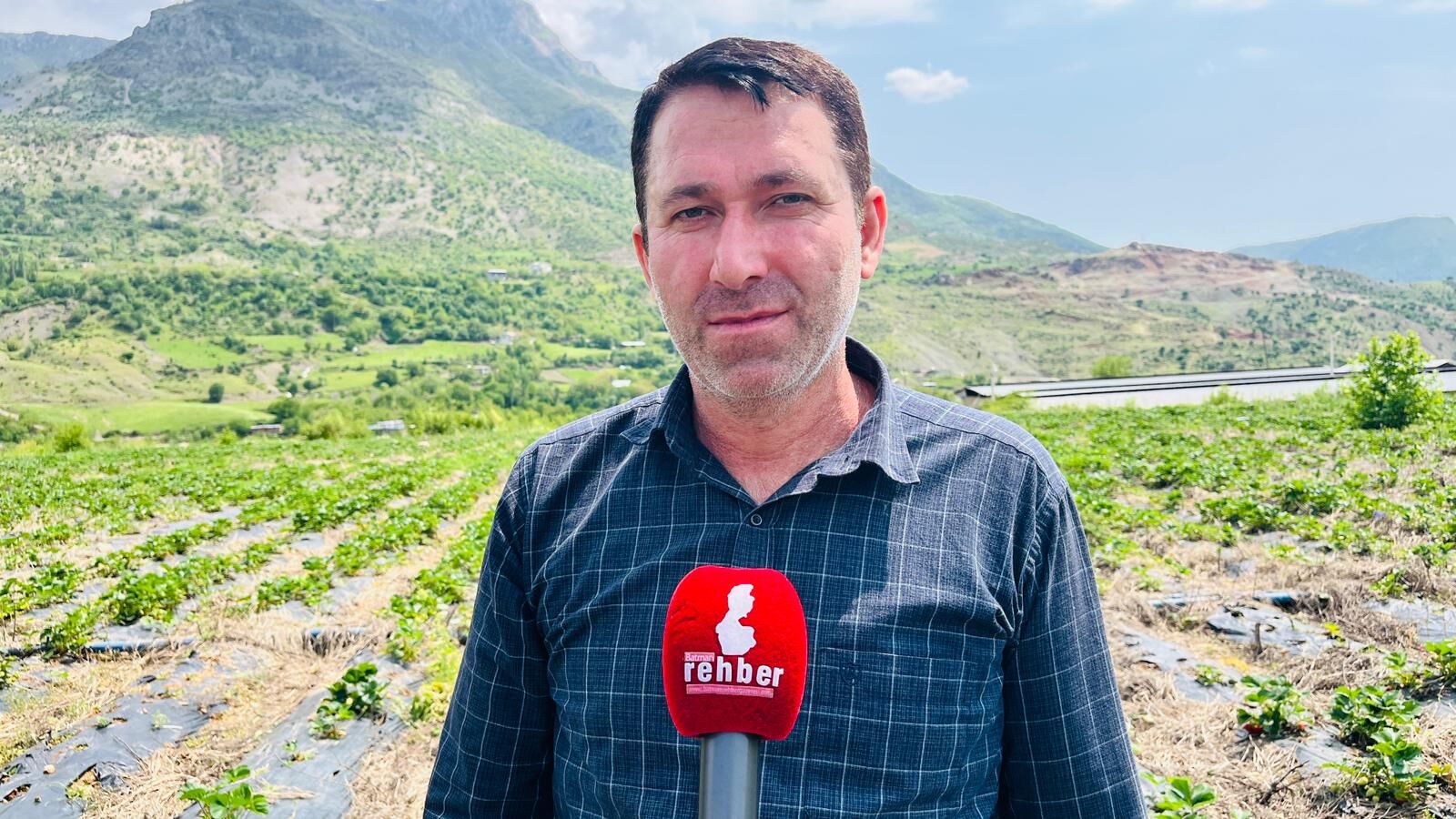 Sason’da Tarımsal Dönüşüm Çilek Üretimiyle İşçilikten İşverenliğe (2)