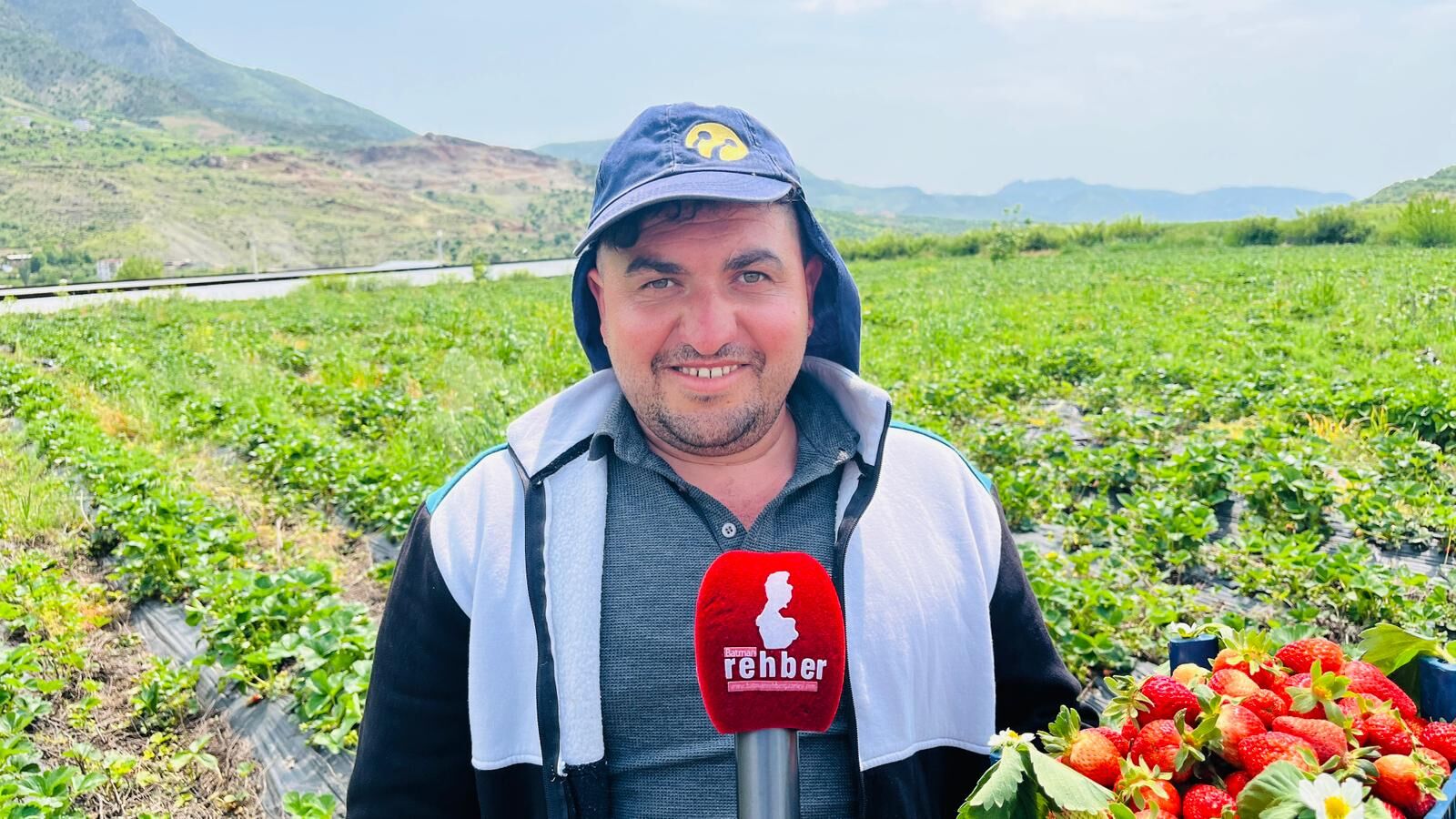 Sason’da Tarımsal Dönüşüm Çilek Üretimiyle İşçilikten İşverenliğe (5)