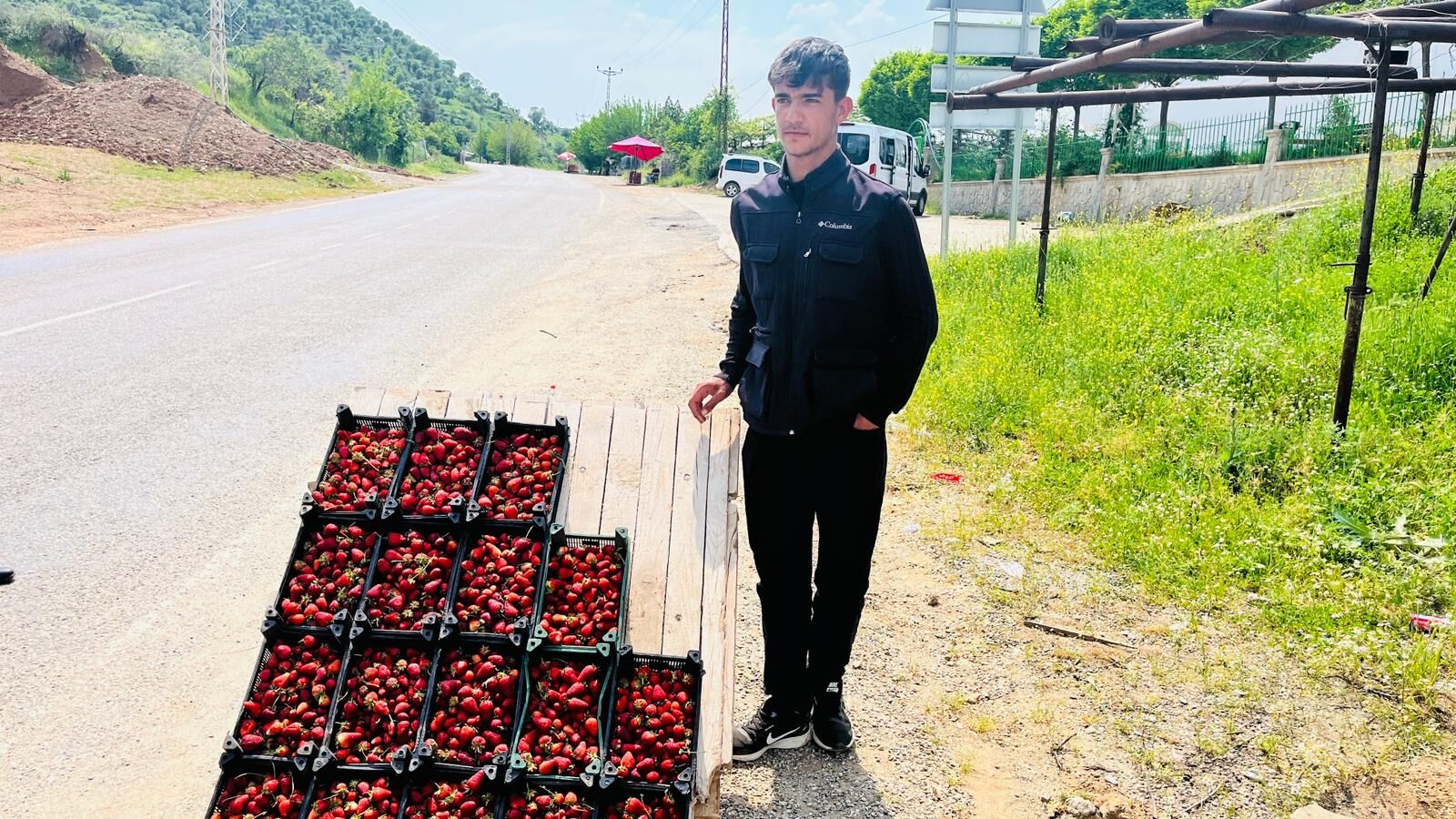 Sason’da Yol Kenarları Kırmızı Altınla Süslendi Tarladan Tezgâha Taze Hasat (4)