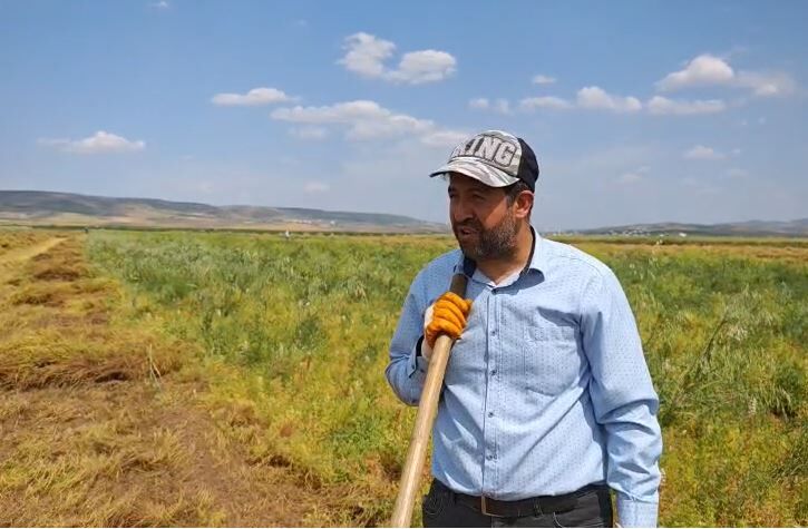 Batman’da Kırmızı Altın Mesaisi Başladı Yeni Sezon Mercimek Hasadına İlk Kazma Vuruldu! (1222