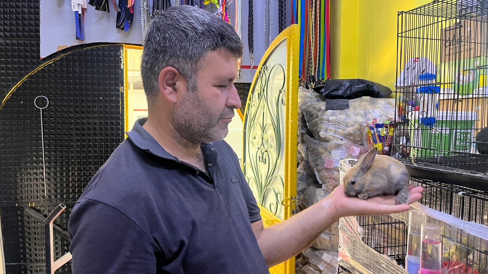 Çocukların Gözdesi Minik, Sevimli Tavşanlar (1)