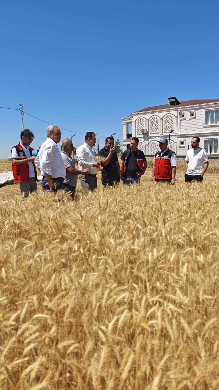 İl Müdürü Tuncer Anız Ve Biçerdöver Kontrolleri Sahada Tavizsiz Sürüyor (1)