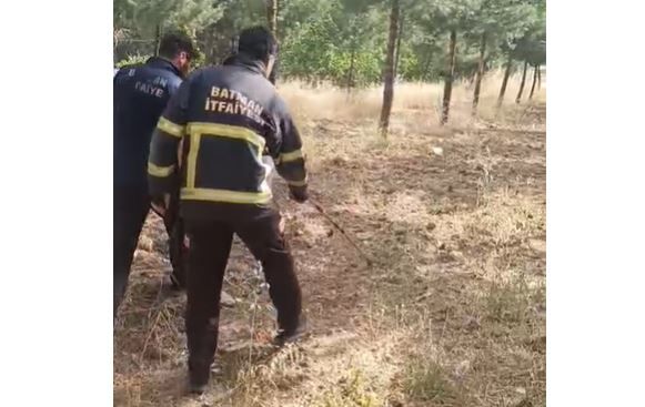Osb Güvenlik Kulübesinde Yılan Alarmlı Dakikalar! (2)