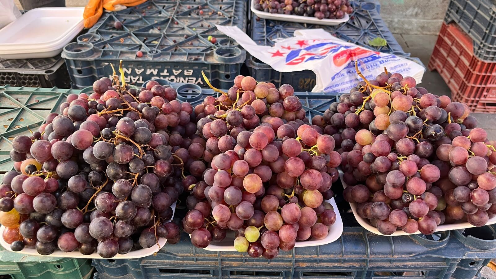 Alo Tevşo Pazarı'nda Üzüm Sezonu Başladı! İlk Üzümler Tezgâhlardaki Yerini Aldı (1)