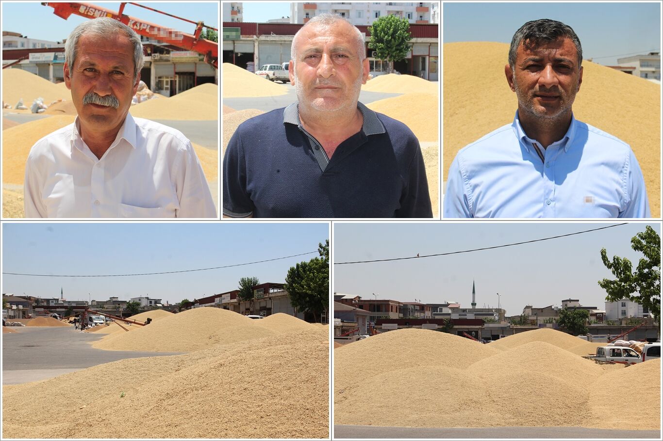 Batman'da buğday piyasası kilitlendi: Üretici ve tüccardan TMO'ya 'ÇKS' çağrısı