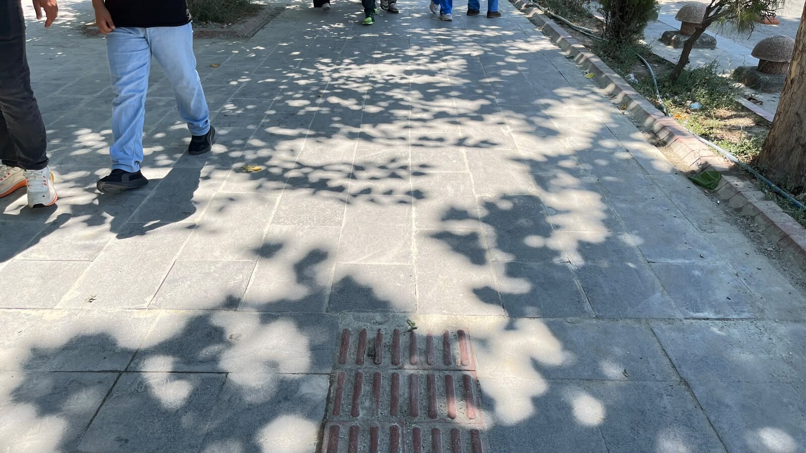 Batman’da Engellilerin En Büyük Sorunu Erişilebilirlik 1