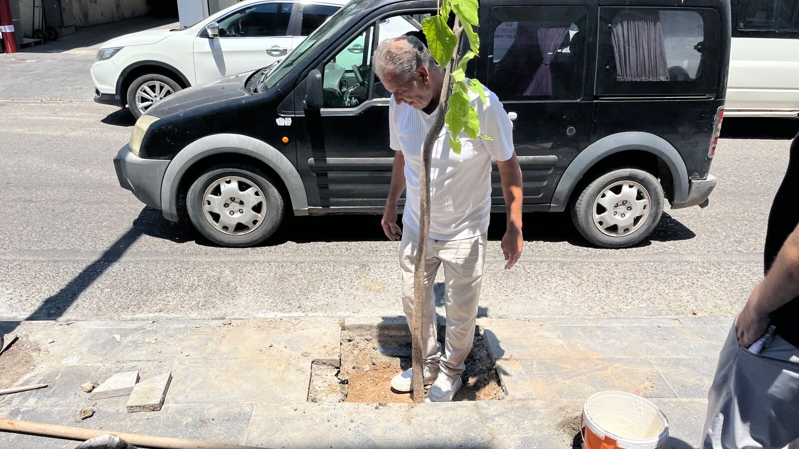 Bir Ağaç, Bin Nefes Diyerek Dükkânının Önünü Ağaç Dikti (4)