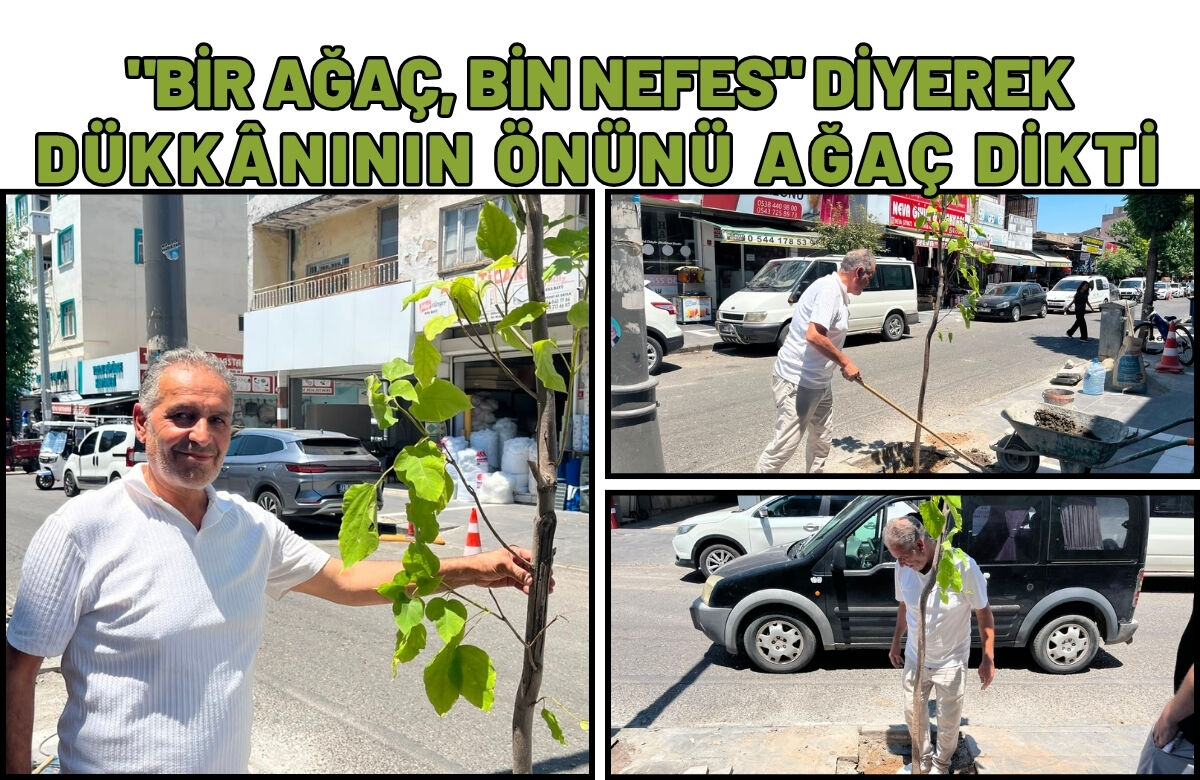 "Bir Ağaç, Bin Nefes" Diyerek Dükkânının Önünü Ağaç Dikti