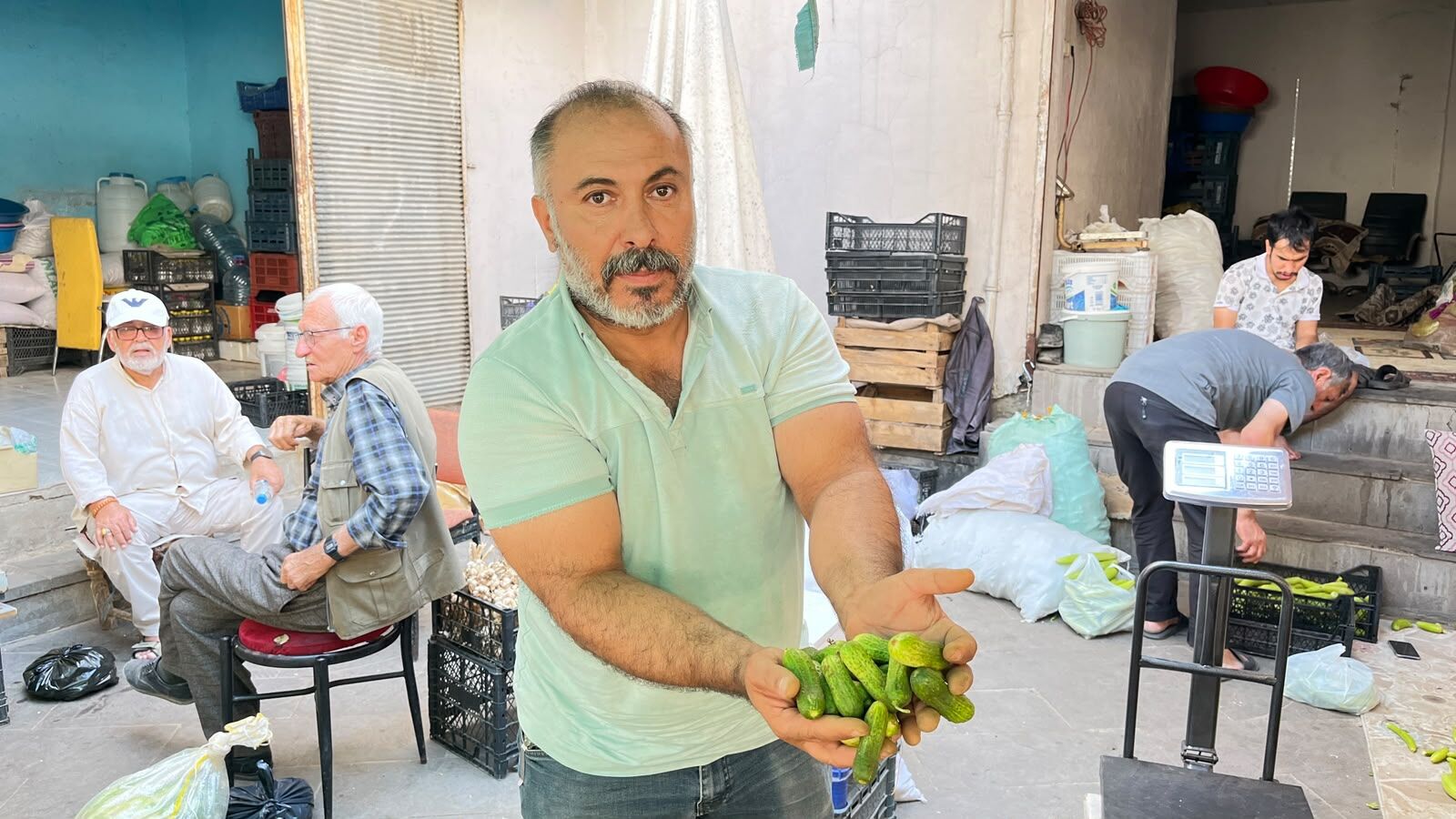 Kornişon Satışları Başladı, Turşu İçin Tarih Verildi (1)
