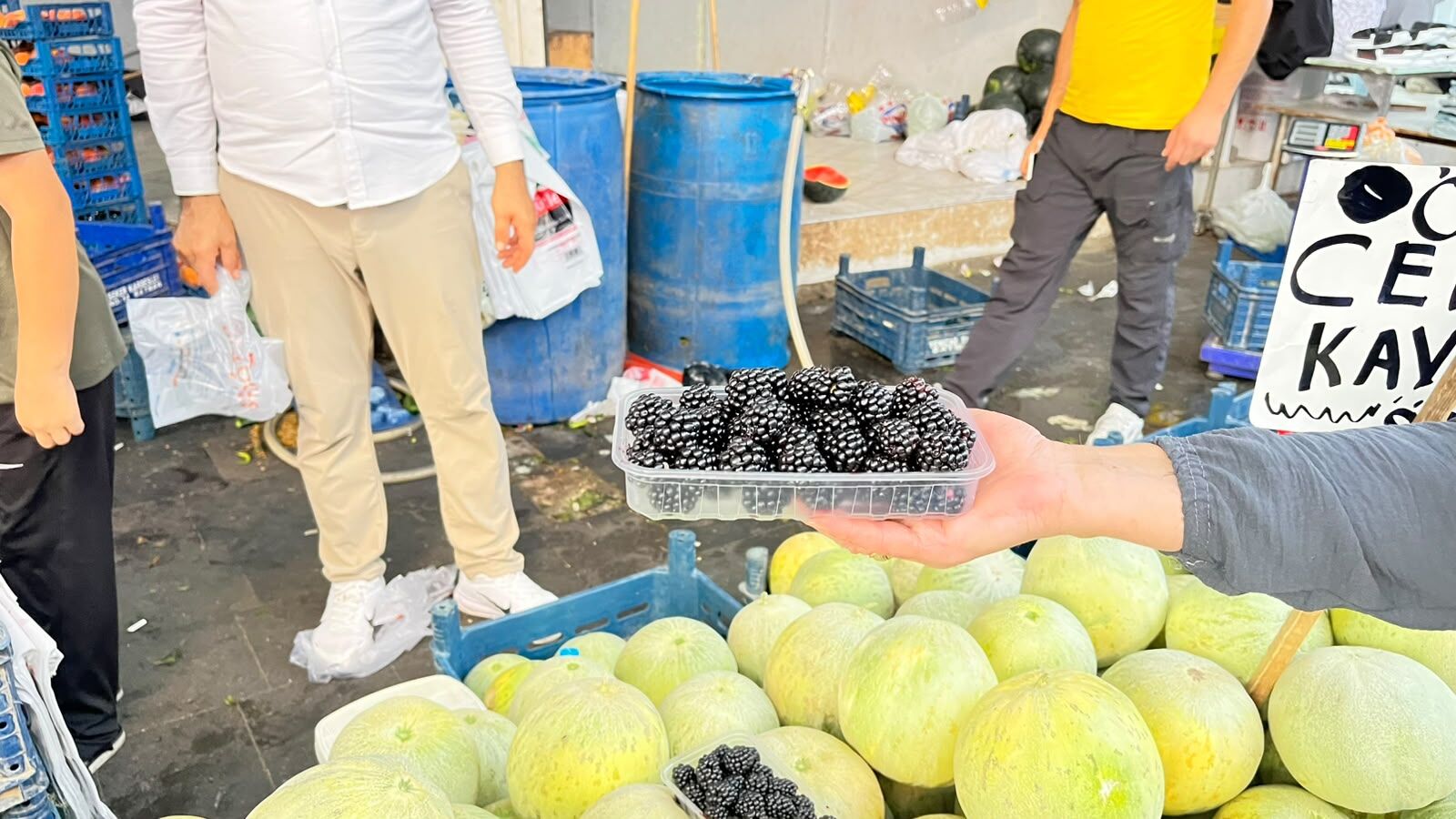 Batman’da Böğürtlen Sezonu Başladı Esnaf “Allah’ın Sunduğu Şifa Kaynağı” (3)
