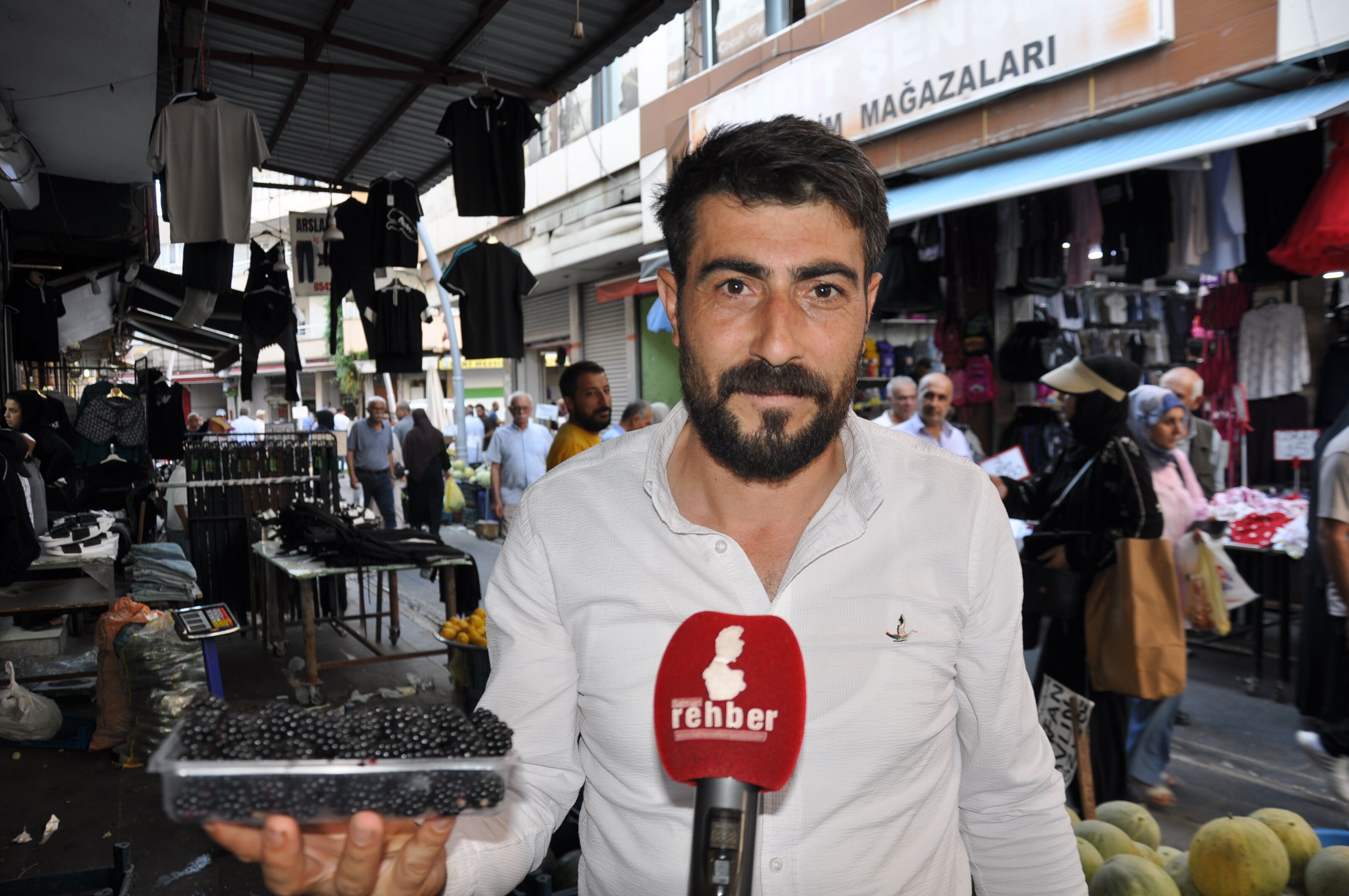 Batman’da Böğürtlen Sezonu Başladı Esnaf “Allah’ın Sunduğu Şifa Kaynağı” (4)