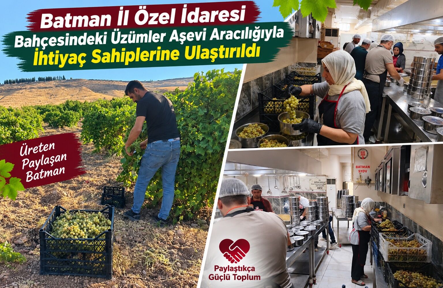 Batman İl Özel İdaresi Bahçesindeki Üzümler Aşevi Aracılığıyla İhtiyaç Sahiplerine Ulaştırıldı