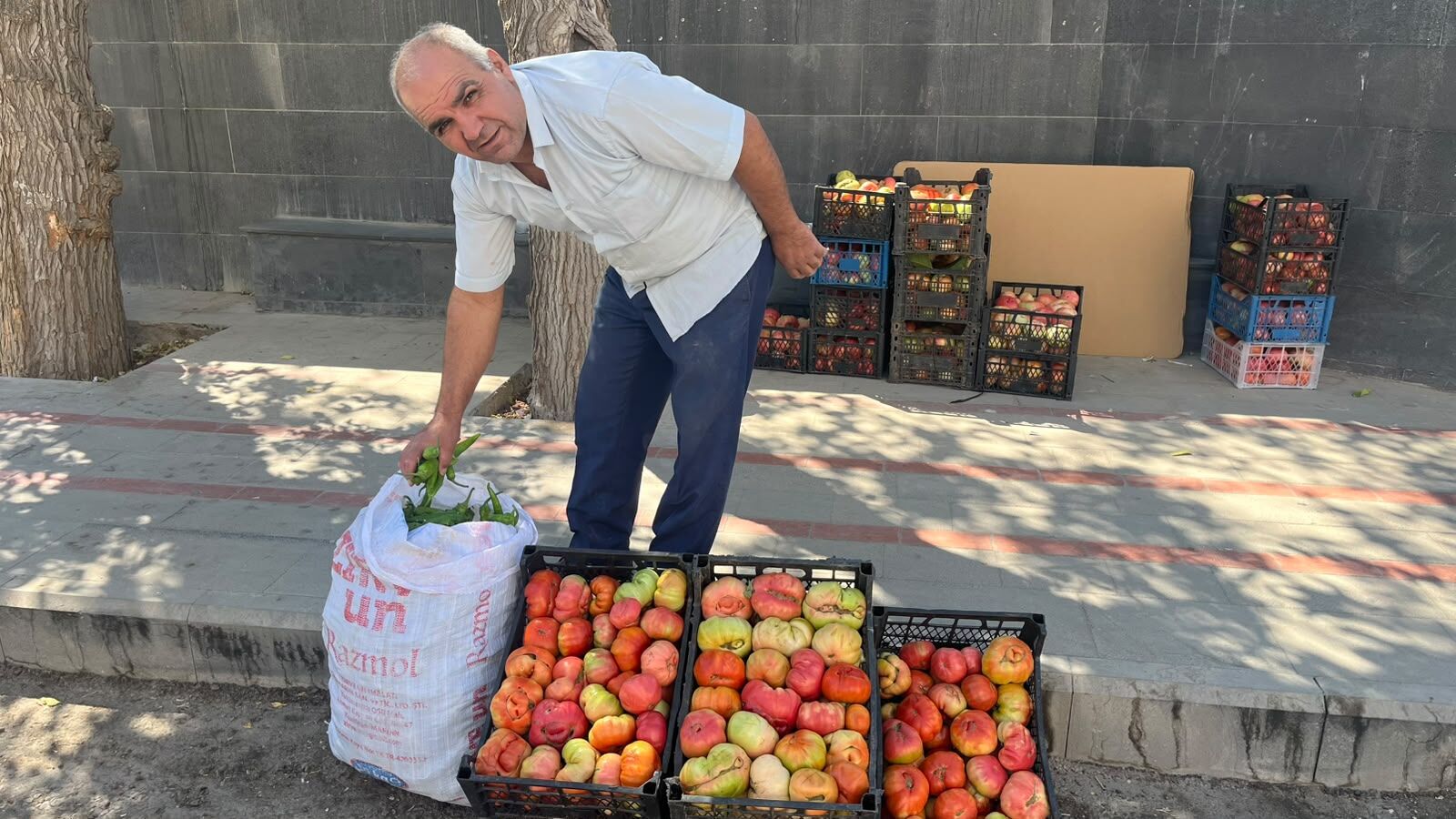 Engebirê’nin Doğal Domatesleri İlgi Görüyor (1)