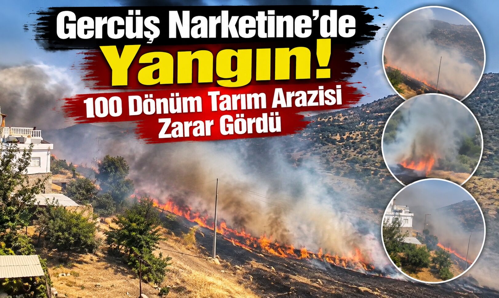 Gercüş Narketine’de Yangın! 100 Dönüm Tarım Arazisi Zarar Gördü