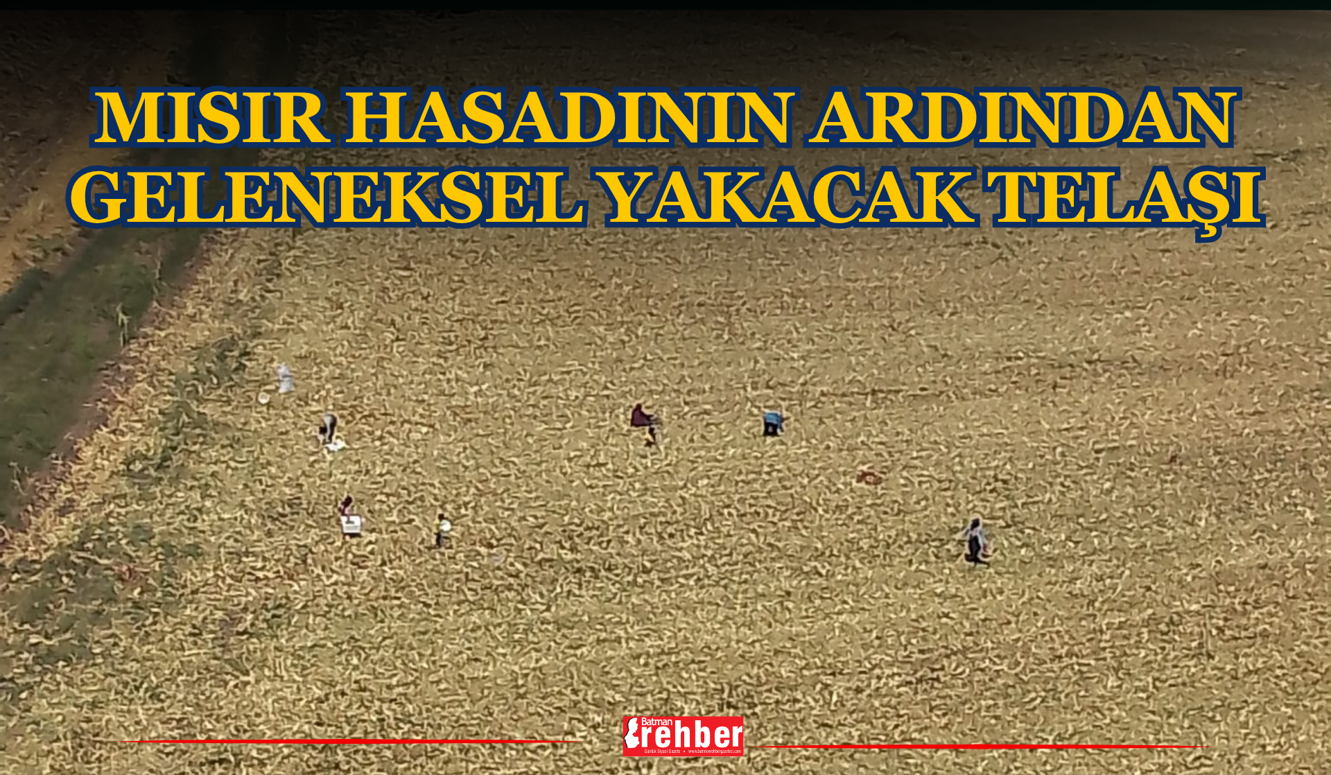 Mısır Hasadının Ardından Geleneksel Yakacak Telaşı
