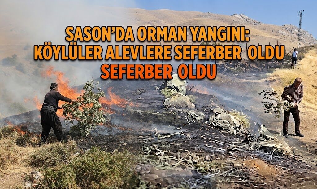 Sason’da Orman Yangını: Köylüler Alevlere Karşı Seferber Oldu