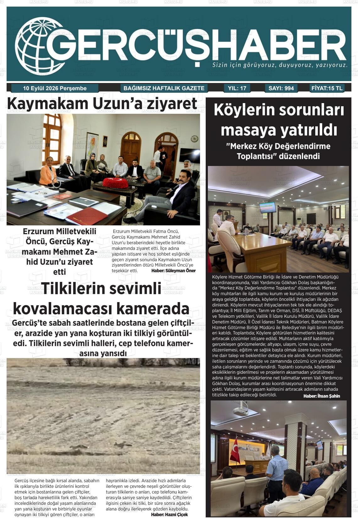 Y Y N 003181-137