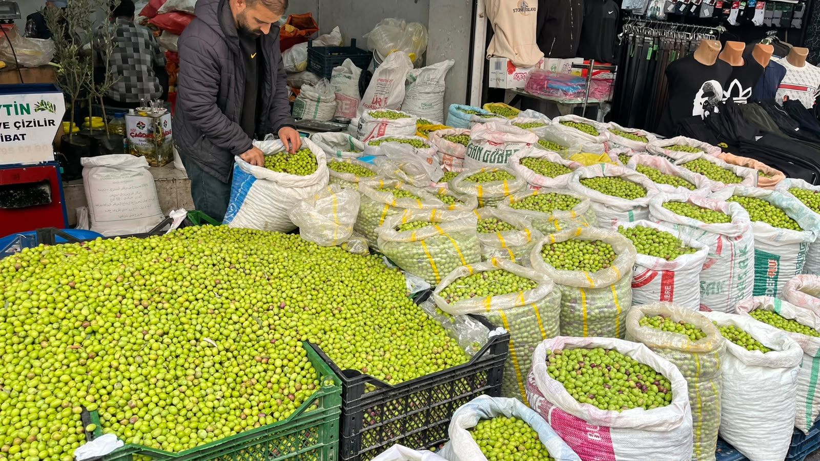Alo Tevşo Yeşi̇llendi̇ (3)