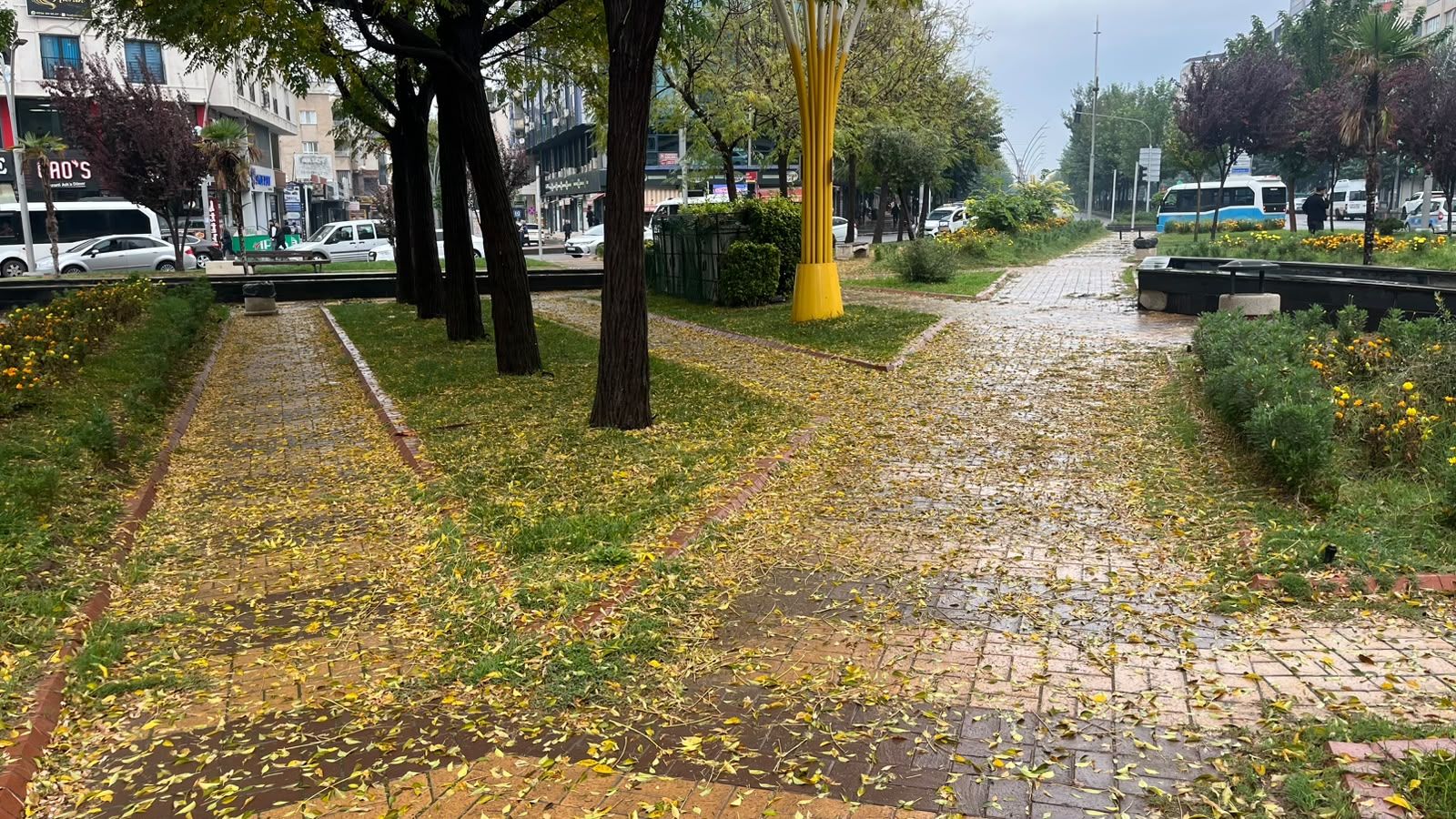 Batman’da Kartpostallık Sonbahar Manzaraları (1)