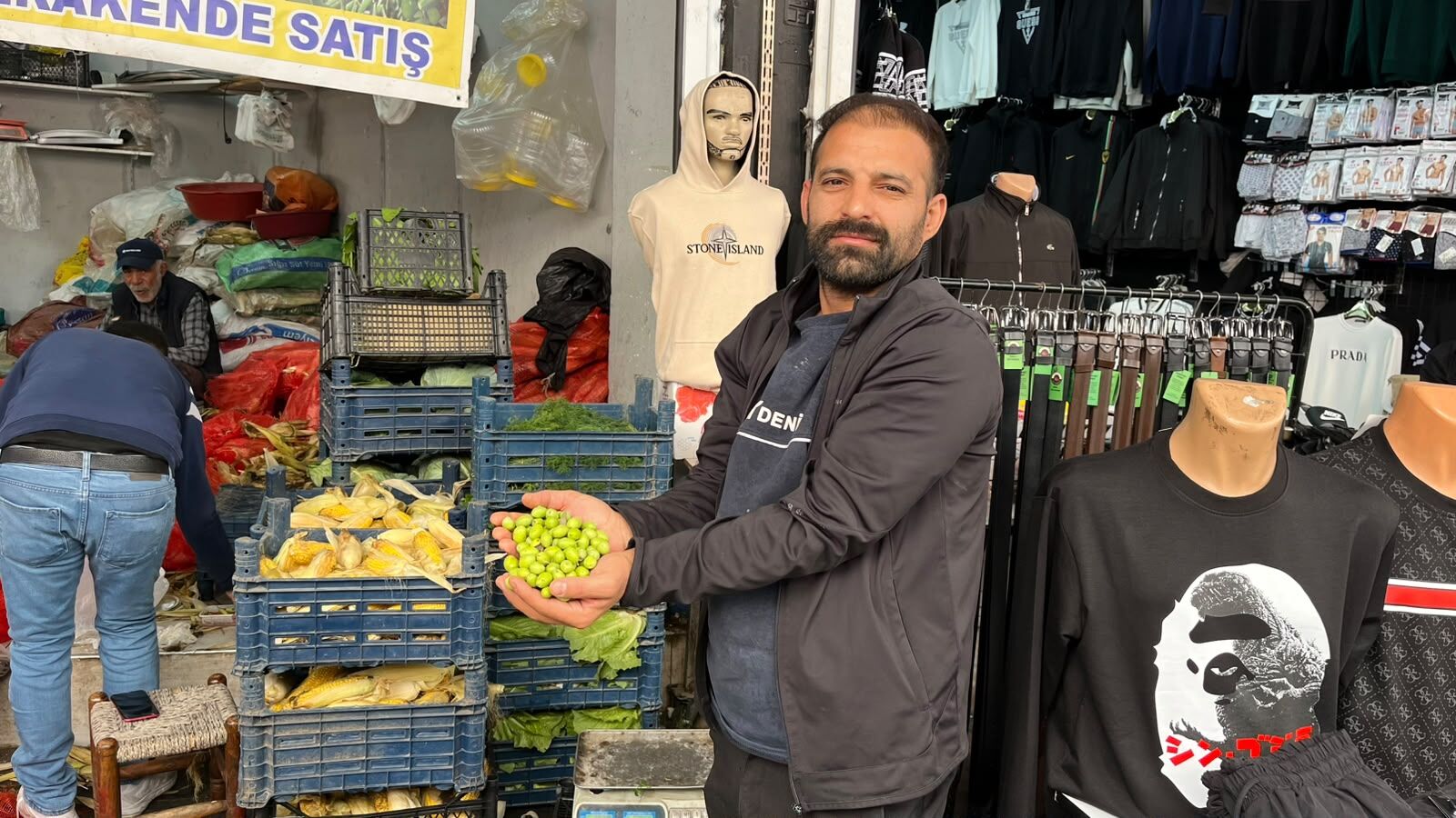 Batman’da Yeşil Zeytin Sezonu Başladı Kilosu 100 Tl (1)